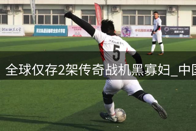 全球仅存2架传奇战机"黑寡妇" 中国收藏一架拒绝美方回购