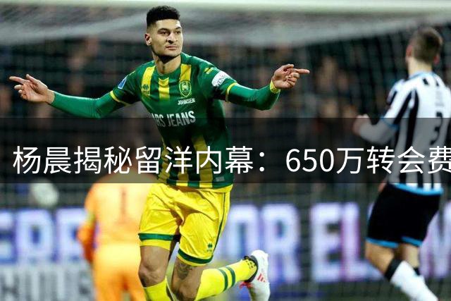 杨晨揭秘留洋内幕：650万转会费促成德甲之旅