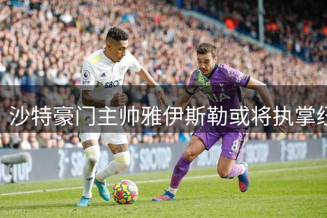 沙特豪门主帅雅伊斯勒或将执掌纽卡 合同解约条款成关键