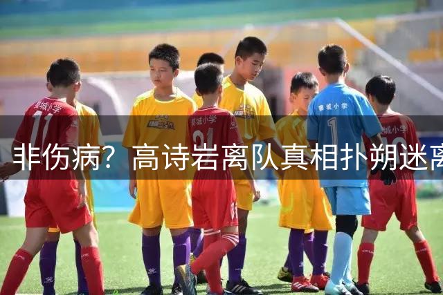 非伤病？高诗岩离队真相扑朔迷离，男篮阵容变天，赵睿要回来了？